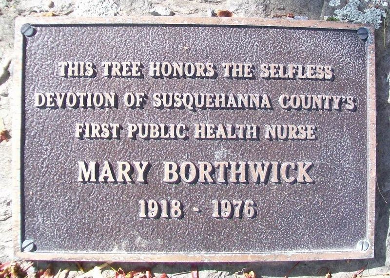 Mary Borthwick Marker image. Click for full size.