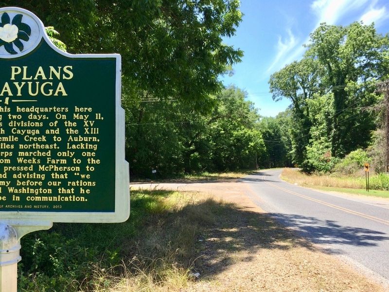 View from marker south to the Old Port Gibson & Cayuga Road intersection. image. Click for full size.