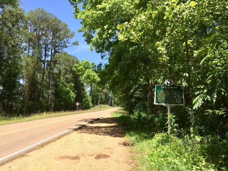 Looking north on Old Port Gibson Road. image. Click for full size.