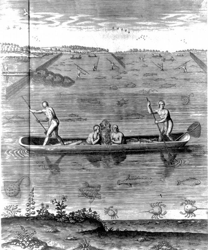 How they catch fish. Click for full size. How they catch fish image. Click for full size.