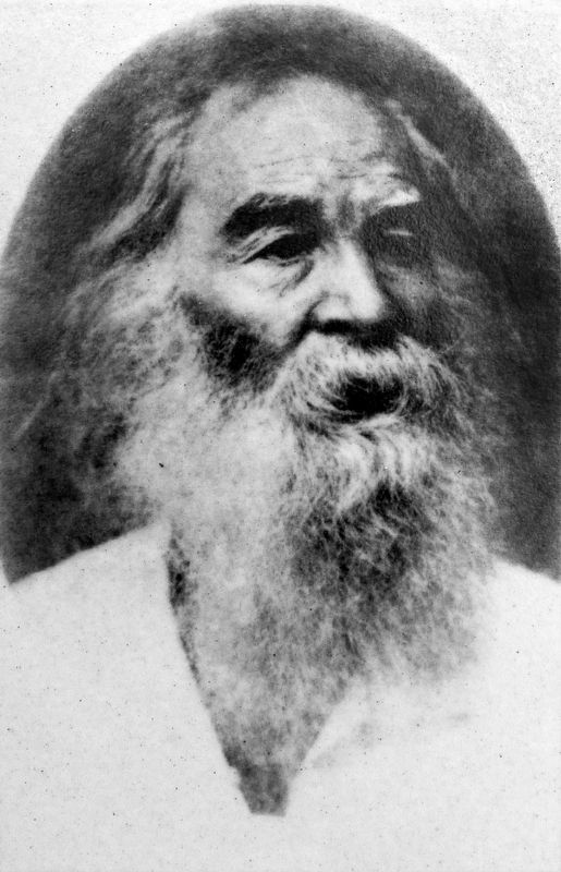 Walt Whitman image. Click for full size.