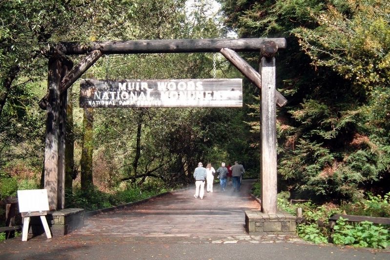 Muir Woods main entrance. Click for full size. Muir Woods main entrance image. Click for full size.