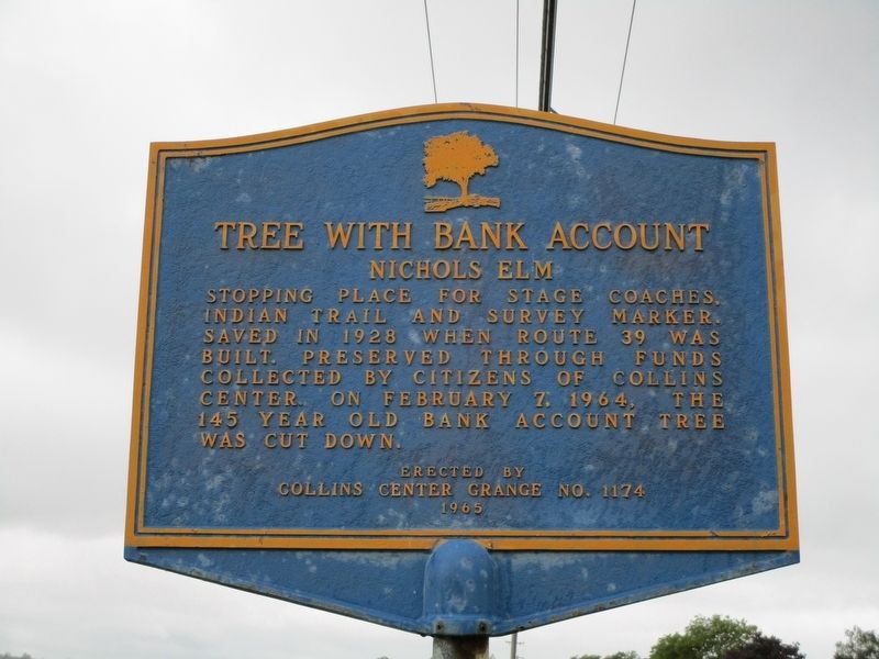 Tree With Bank Account Marker image. Click for full size.
