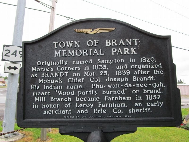 Town of Brant Memorial Park Marker image. Click for full size.