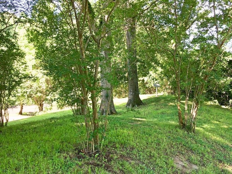 Marker can be seen to right of 2 large trees.. Click for full size. Marker can be seen to right of 2 large trees. image. Click for full size.