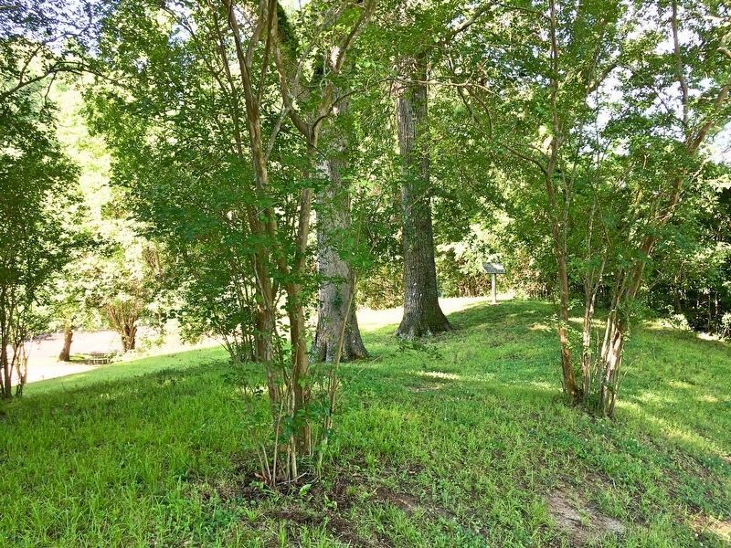 Marker can be seen to right of 2 large trees. image. Click for full size.