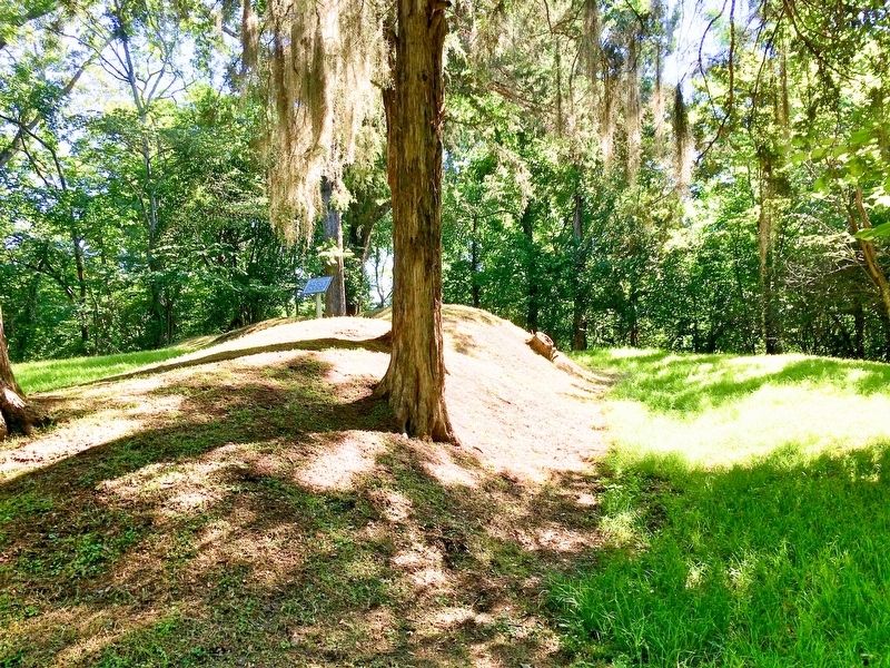 View of the ditch in front of parapet.. Click for full size. View of the ditch in front of parapet. image. Click for full size.