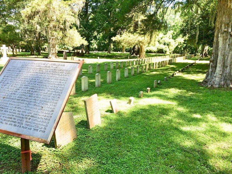 Marker and portion of Confederate grave markers within the Wintergreen Cemetery. image. Click for full size.