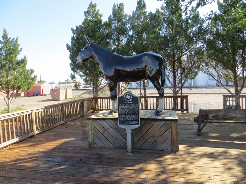 The Mule Marker image. Click for full size.