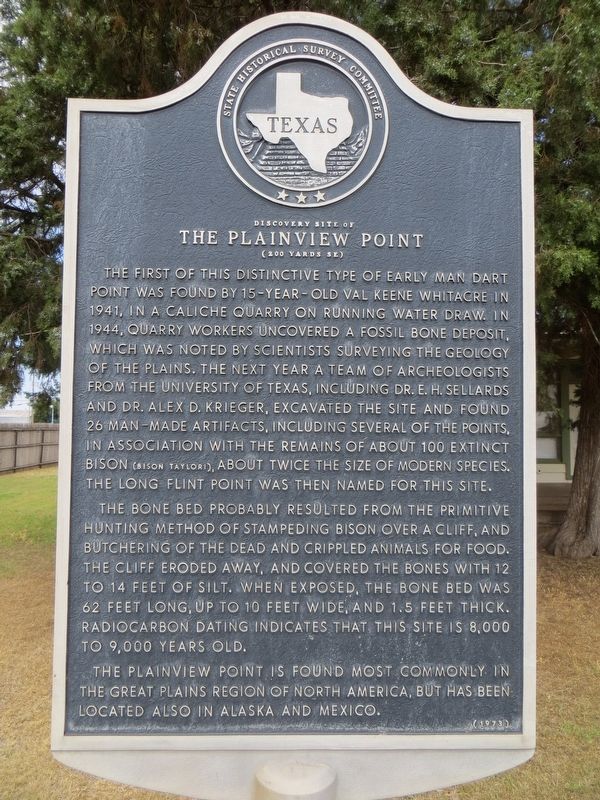 Discovery Site of the Plainview Point Marker image. Click for full size.