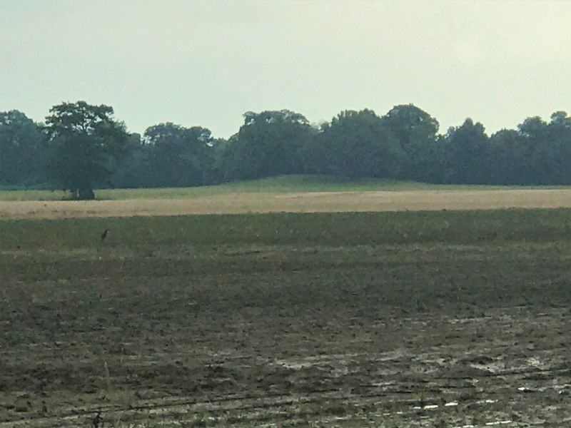 McGuffee Mound image. Click for full size.