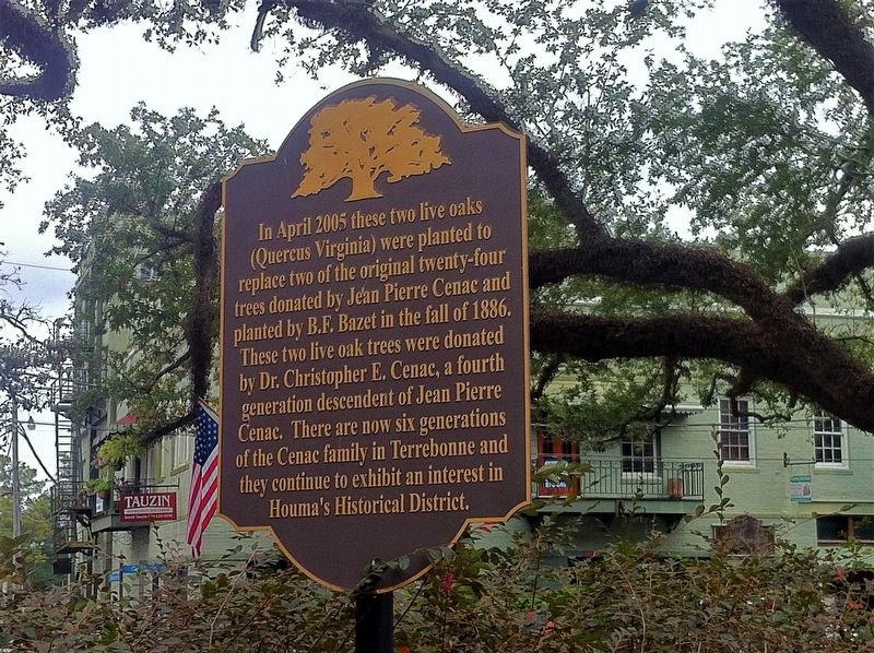 Terrebonne Parish Courthouse Square Oaks Marker image. Click for full size.