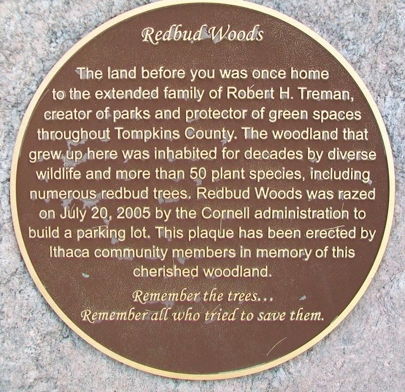 Redbud Woods Marker image. Click for full size.