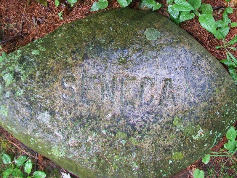 Seneca Six Nations stone at base of Red Jacket Monument image. Click for full size.