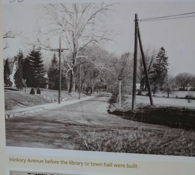 Hickory Avenue. Click for full size. Hickory Avenue image. Click for full size.
