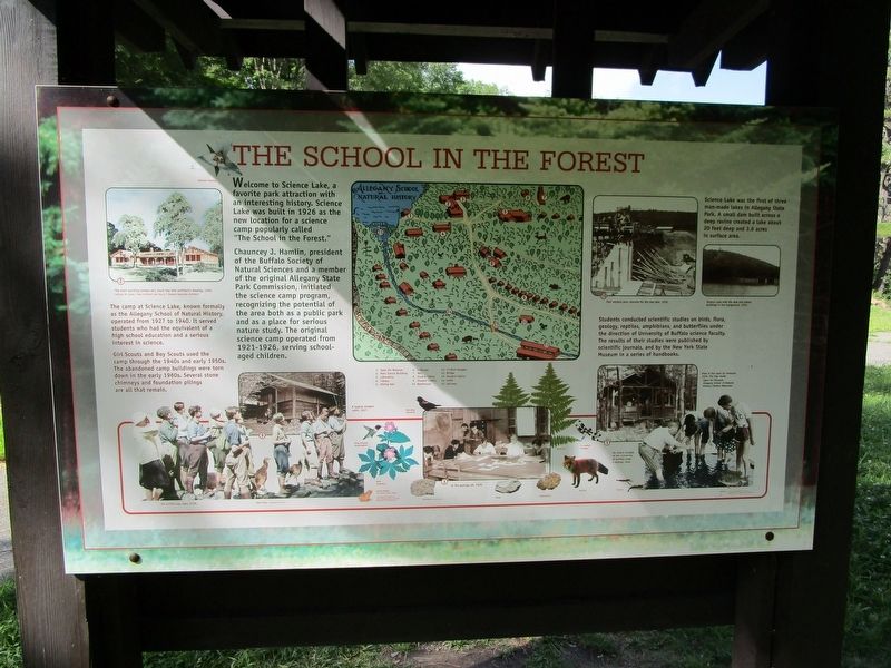 The School in the Forest Marker image. Click for full size.