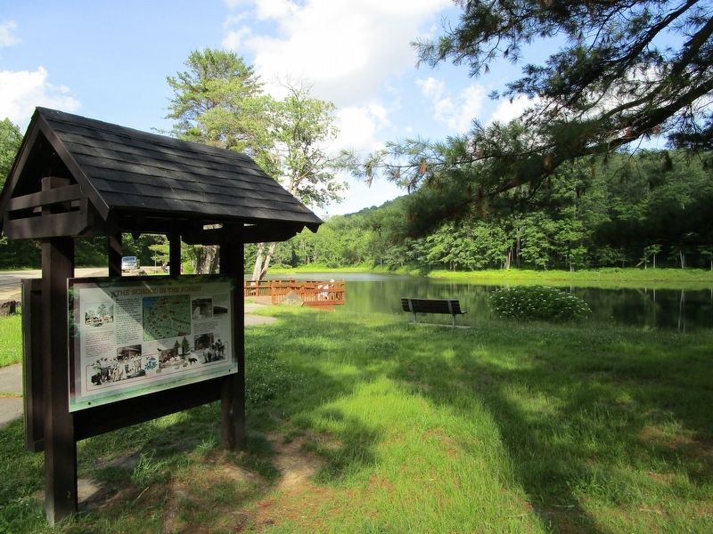 The School in the Forest Marker image. Click for full size.