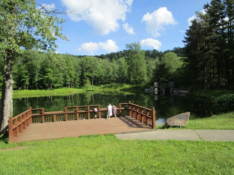 Fishing Dock image. Click for full size.