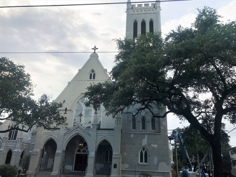 Christ Church Cathedral. Click for full size. Christ Church Cathedral image. Click for full size.
