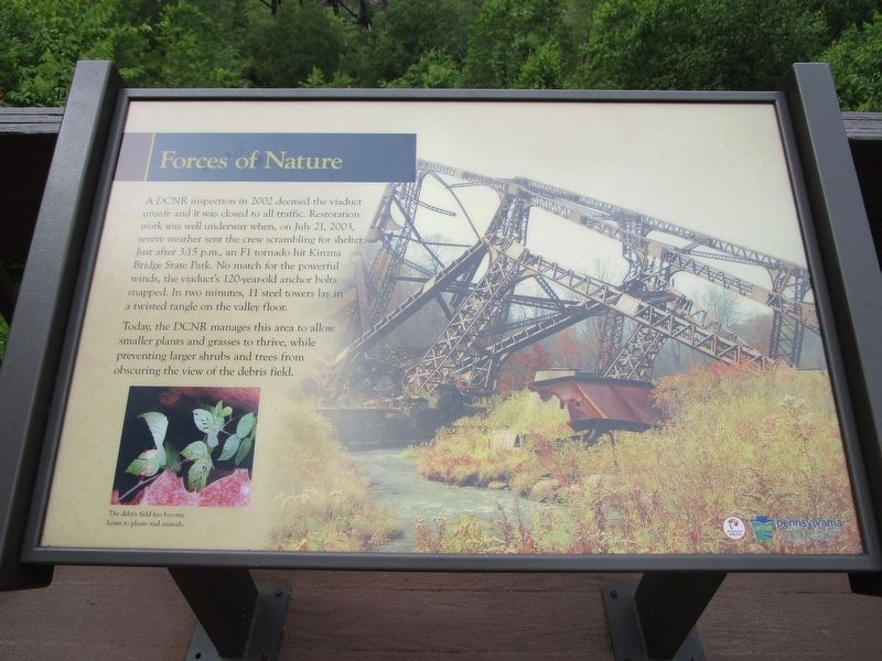 Forces of Nature Marker. Click for full size. Forces of Nature Marker image. Click for full size.