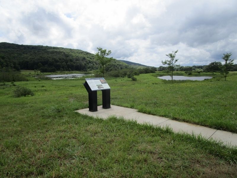 Hinman Valley Wetland Complex Marker image. Click for full size.