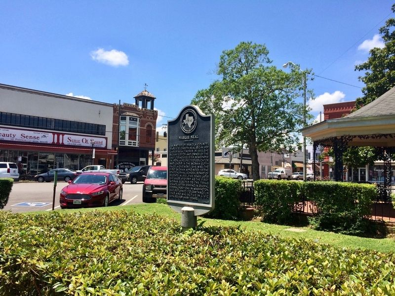 View of marker looking southwest towards intersection of Sabine and St. Mary Streets. image. Click for full size.