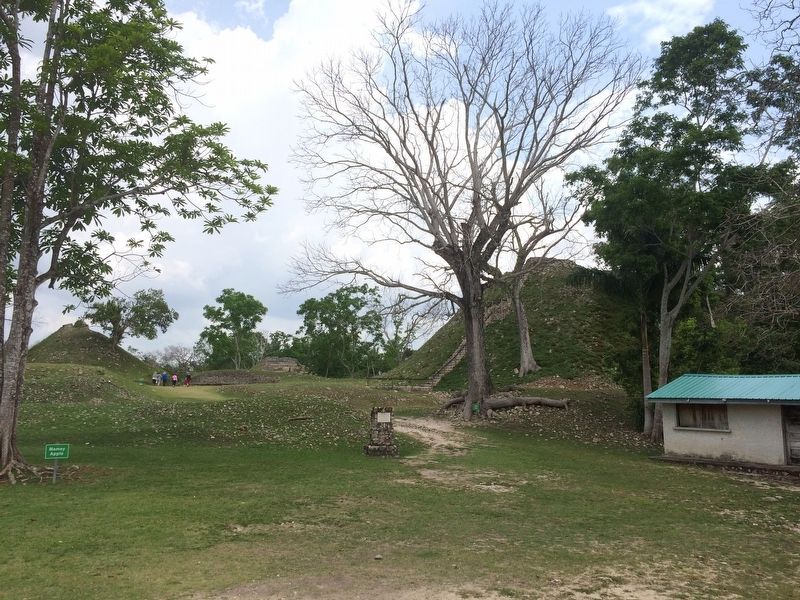 A view towards the south of the Altun Ha site from the marker's kiosk image. Click for full size.