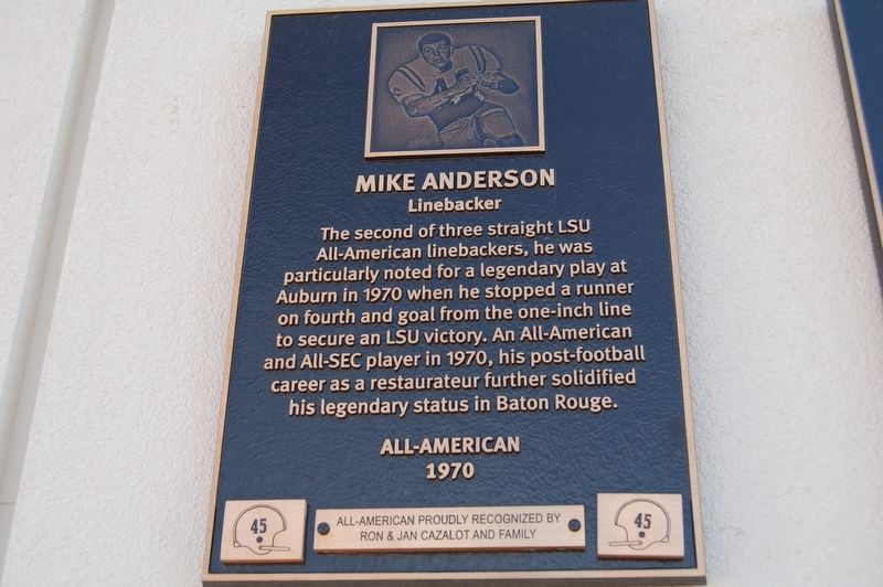 Mike Anderson Marker. Click for full size. Mike Anderson Marker image. Click for full size.