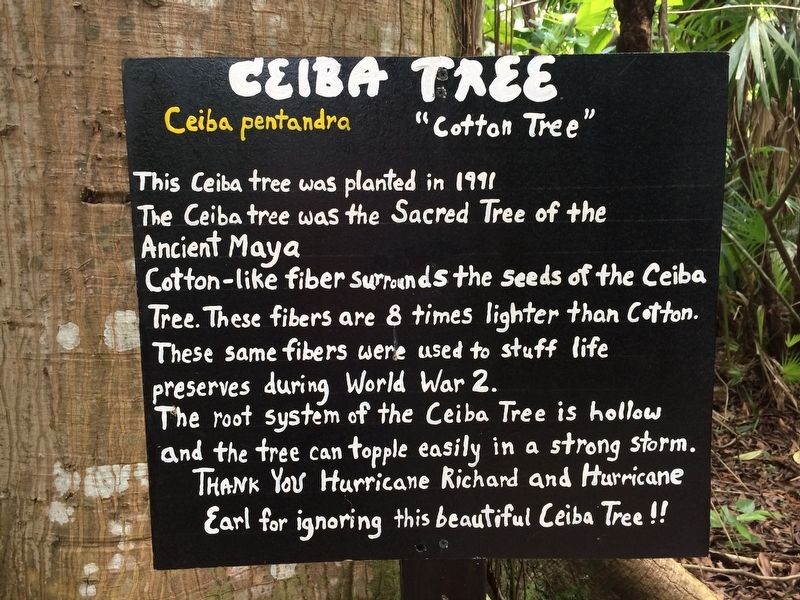 Ceiba Tree Marker image. Click for full size.