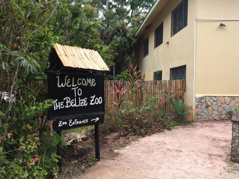 The entrance to the Belize Zoo from the visitors parking lot image. Click for full size.