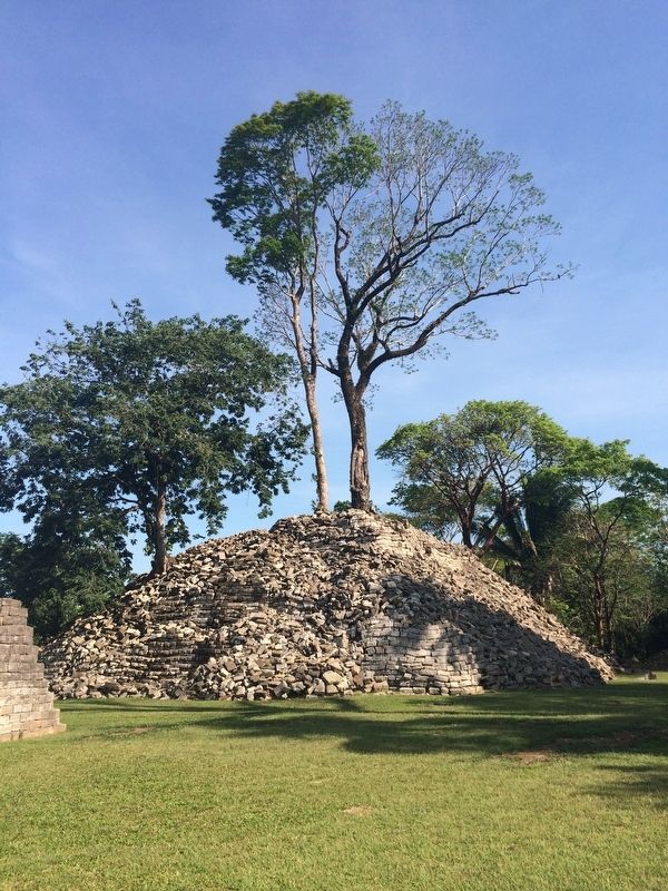 A distinctive temple at Lubaantn, with trees growing from it. image. Click for full size.