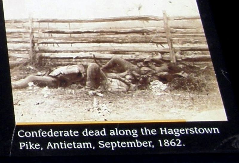 Insert - Confederate dead at Antietam image. Click for full size.