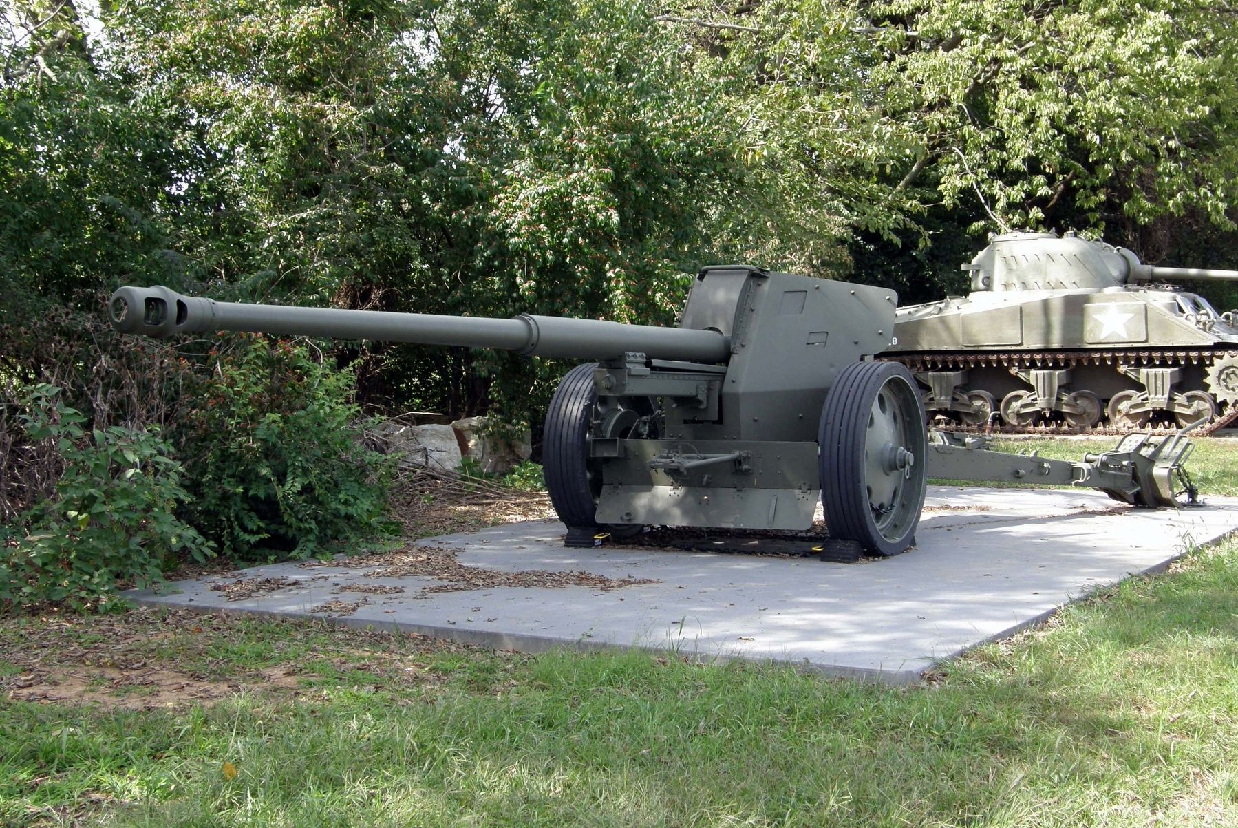 Pak 43/41 on display image. Click for full size.