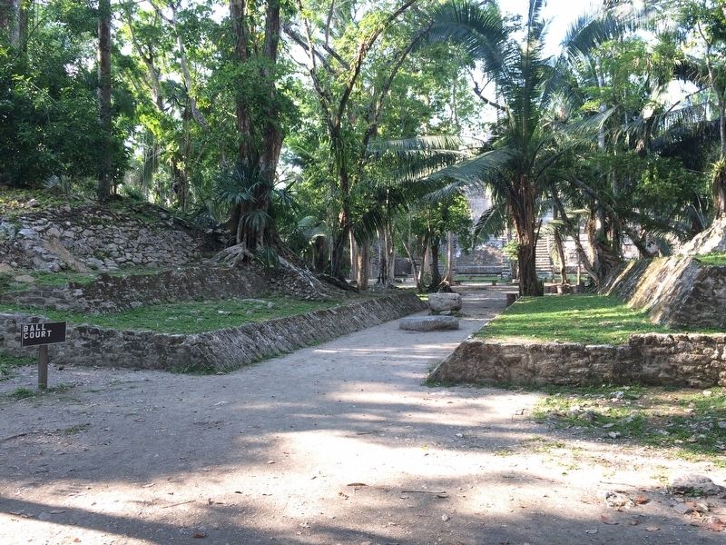 The ball court just south of The High Temple at Lamanai image. Click for full size.