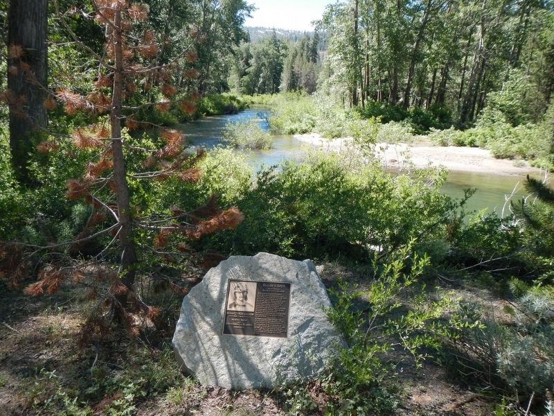 Susan's Spot Marker image. Click for full size.