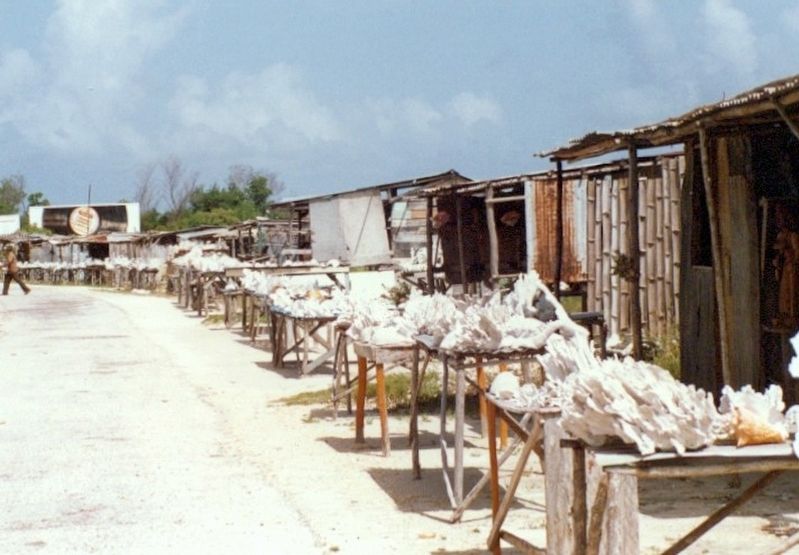 Road side shell market. Click for full size. Road side shell market image. Click for full size.