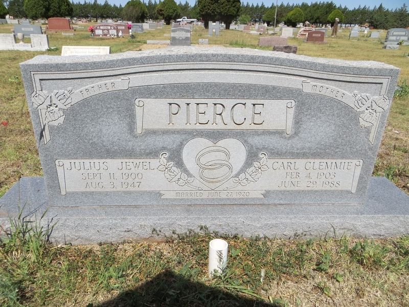 Julius Jewel Pierce image. Click for full size.