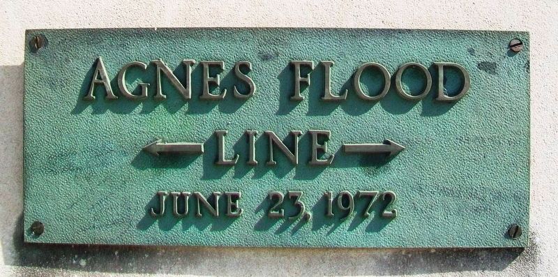Agnes Flood Line Marker image. Click for full size.