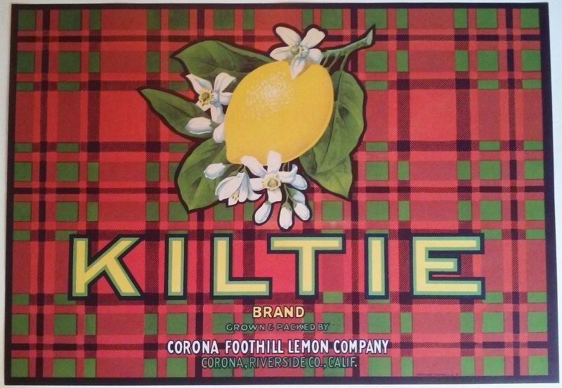 Packing crate label, Corona Foothill Lemon Company image. Click for full size.