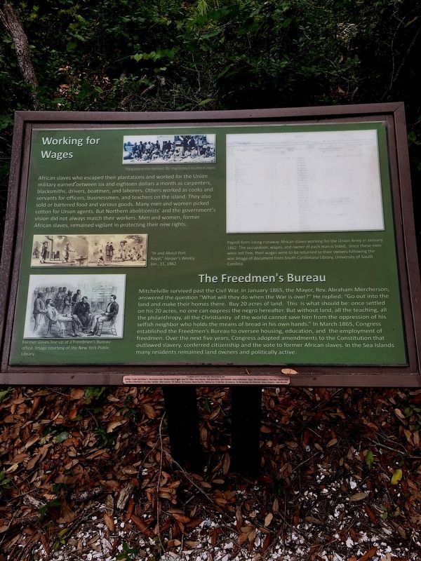 Working for Wages/Freedmen’s Bureau Marker. Click for full size. Working for Wages/Freedmen’s Bureau Marker image. Click for full size.