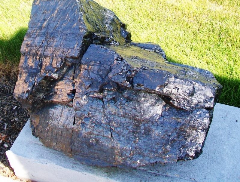 Anthracite Coal at Coal Miners Memorial. Click for full size. Anthracite Coal at Coal Miners Memorial image. Click for full size.