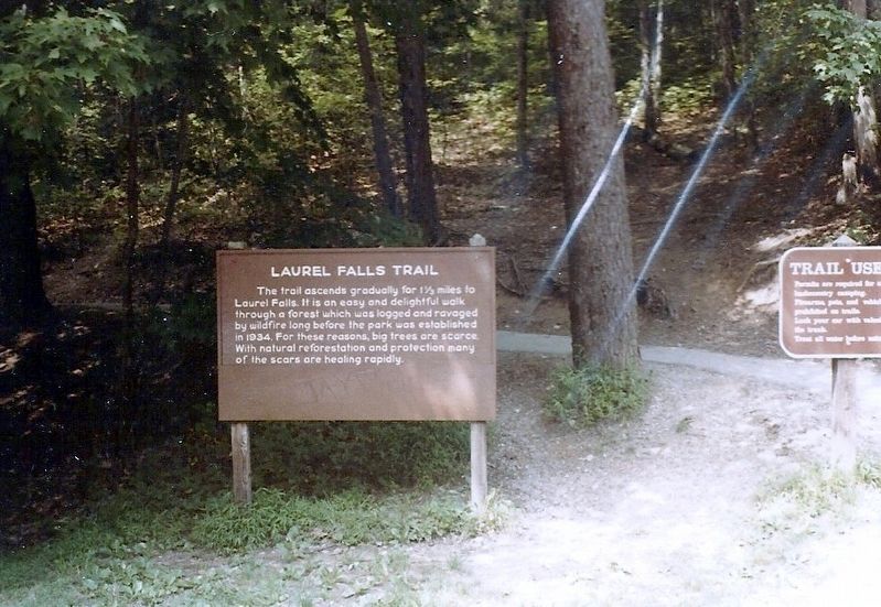 Laurel Falls Trail Marker. Click for full size. Laurel Falls Trail Marker image. Click for full size.