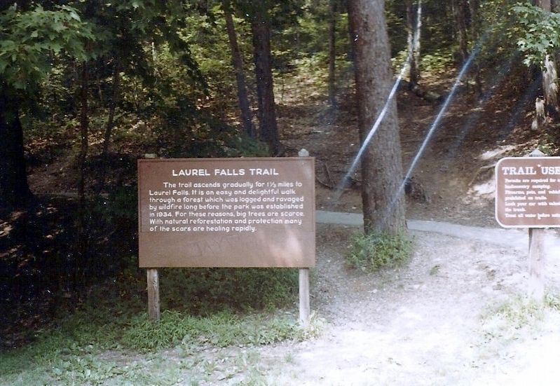 Laurel Falls Trail Marker image. Click for full size.