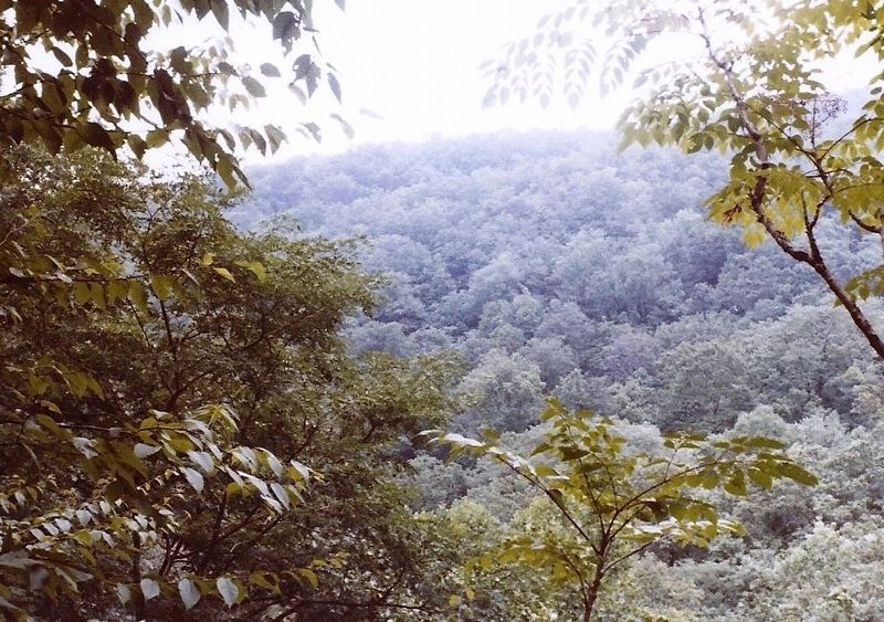 Scenery along the road. Click for full size. Scenery along the road image. Click for full size.
