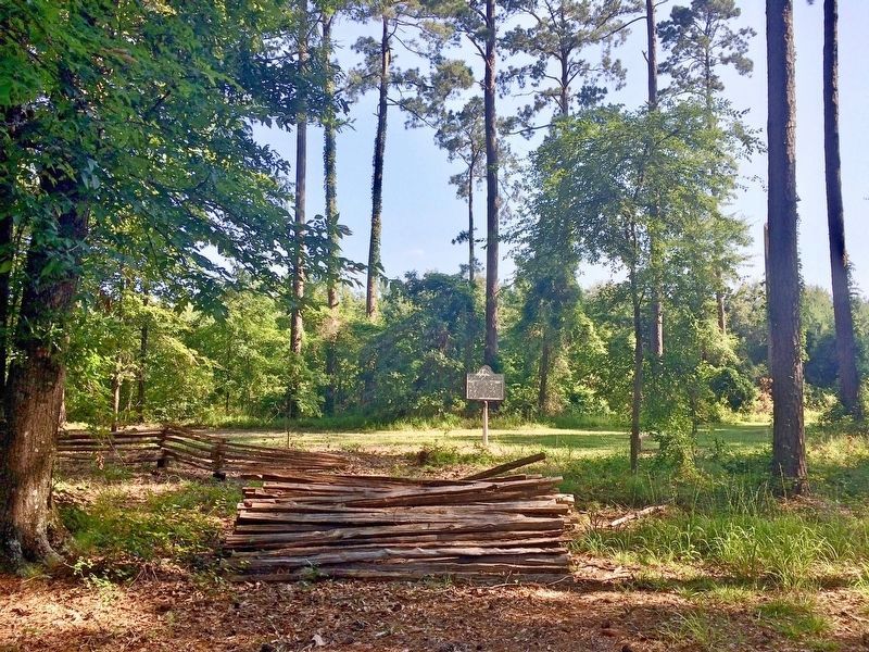 View from near the park road towards the marker. image. Click for full size.