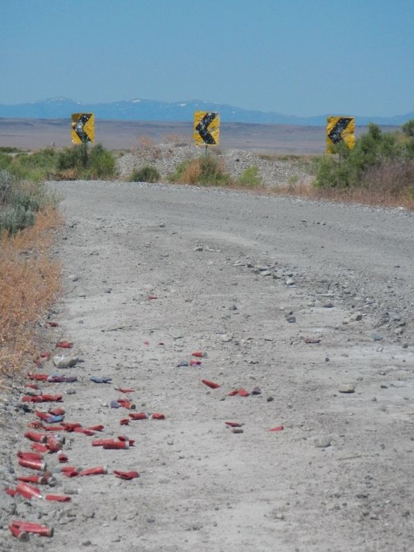 Sorta says something about the 2nd Amendment ... doesn't it? image. Click for full size.