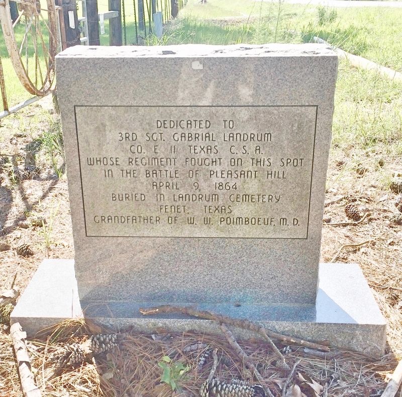 Dog Trot House Marker (rear) image. Click for full size.