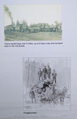 Upper Far Left Image. Click for full size. Upper Far Left Image image. Click for full size.
