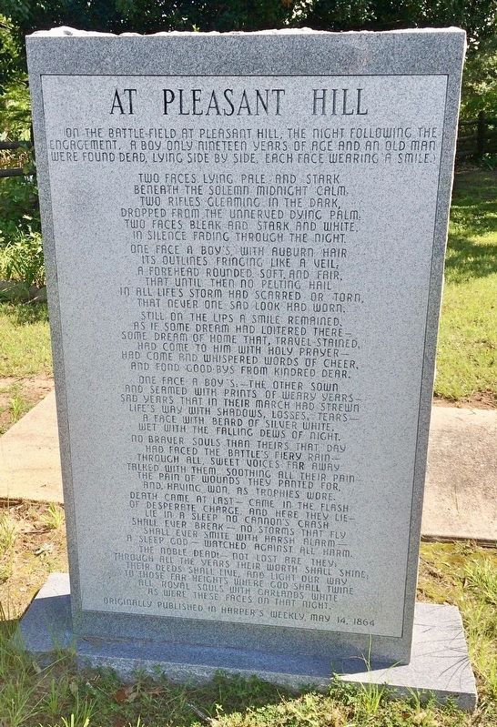 Confederate and Union Soldier Memorial (rear) image. Click for full size.