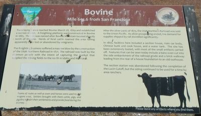 Bovine Marker. Click for full size. Bovine Marker image. Click for full size.